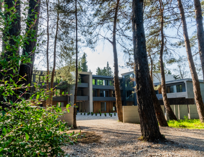 Отель «Guma» Пицунда